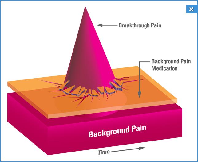 Breakthrough cancer pain is phenomenologically distinct from persistent chronic cancer pain, also called baseline pain.