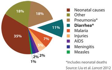 WHO facts Around 1.7 billion cases of diarrheal disease occur globally every year Diarrheal disease is the second leading cause of death in children under 5 years old Approx.