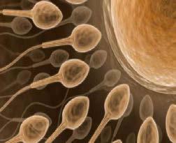 How Sperm Assessments Are Done Also, the use of alcohol, medicines, herbal supplements and recreational drugs must be disclosed to the physician conducting the test, since these factors may affect