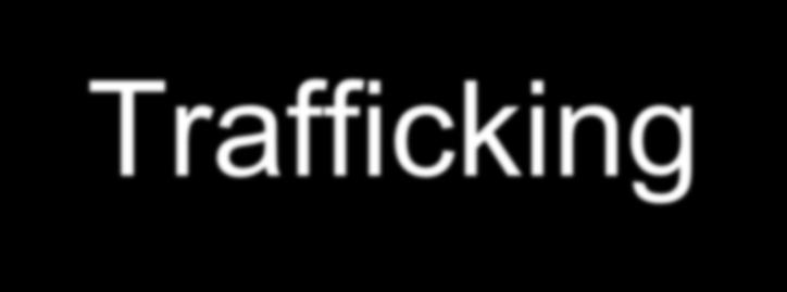 Trafficking [S]ex trafficking is often an extreme form of intimate-partner violence in which traffickers are pimps and batterers