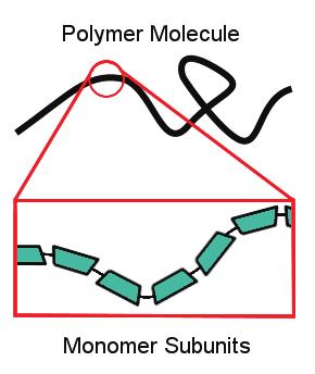 Polymers are found throughout nature: examples include proteins and DNA.