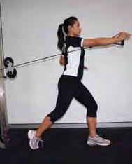 Adjust pulley so that it is set slightly lower than shoulder height. 2. Grasp a handle in a semi-supinated grip so that the cable is tucked between body and arm. 3.
