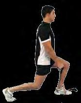 Standing Single Arm Row Classification 1 Unilateral pull pattern target muscles: latissimus