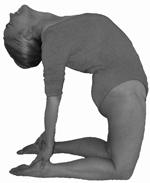 For reach repetition of the Main Pose, (except for Cow Pose, Chest Expansion and Wood Chopper: Hold the Main Pose for several breaths Notice how your body will naturally go deeper into the pose with