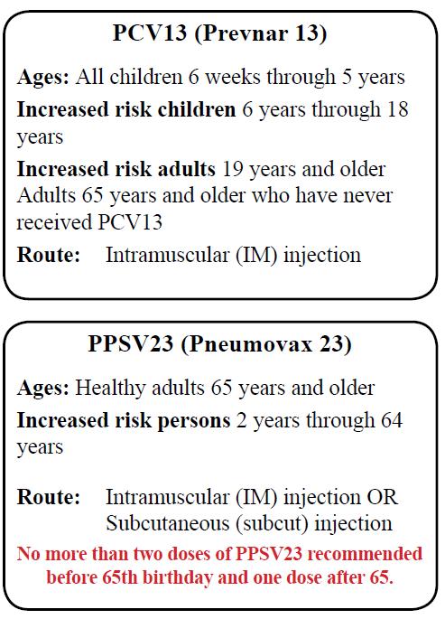 Pneumococcal Vaccines Adverse Reactions PCV Local reactions 30%-50% 5%-49% Fever, myalgia <1% 24-35% Febrile seizures --- Rare: 1-14/100,000; with IIV 4-45/ 100,000 Severe adverse reactions rare