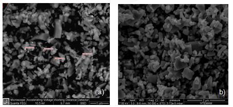 Figure 3: SEM images of zinc oxide/silver (ZnO/Ag) particles,
