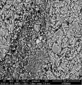 The BSED image of Ag(ZnO) powder loaded nanocomposite stone are shown