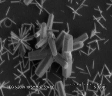 As stated in the XRD patterns, the SEM images of the ZnO nano rods indicates that the length of the ZnO nano rods is maximum when the growth time is at 5 hours.