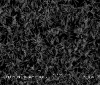 moderately reflected. Fig.2c shows SEM image of ZnO nanorod grown for 5 hours at 9 C. These rods show hexagonal structure with increase in diameter and its length towards c-axis orientation.