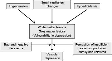 RISK FACTORS FOR DEVELOPING PSD *Age Vascular Depression Considered subset of PSD Later age of onset Greater physical and cognitive impairment Associated