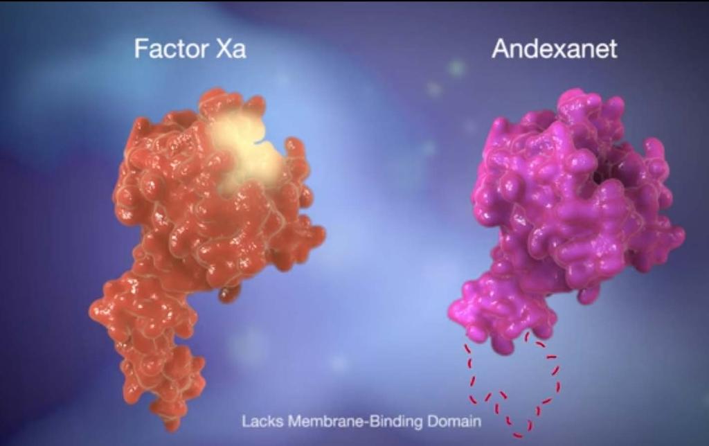 Andexanet alpha Recombinant competitive inhibitor of Factor Xa https://www.