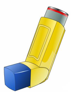 Some inhalers are meant for limited use during an emergency situation. Others are used daily to prevent breathing problems.