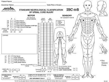 Basic neurological examination Practical