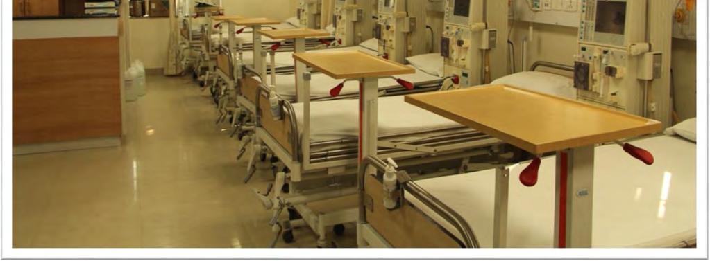 success rate compared to the best in the world The Unit was functioning from the Year 1999 Total Beds : 12; Total No.