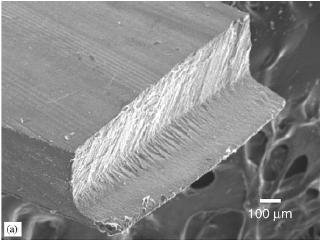 SEM images of fracture surface 0 90 Specimen with θ=0