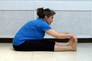 flexion in knees