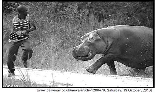 5.2 The photograph shown below was taken while a person was chased by a hippopotamus in the wild. Study the photograph and answer the following questions. 5.2.1 Name the hormone released by the person, to deal with the dangerous situation shown in the above photograph.