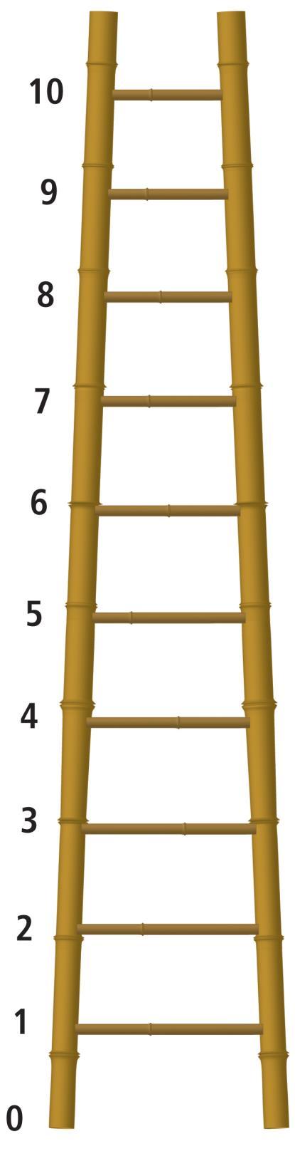 Appendix 1: Response ladder