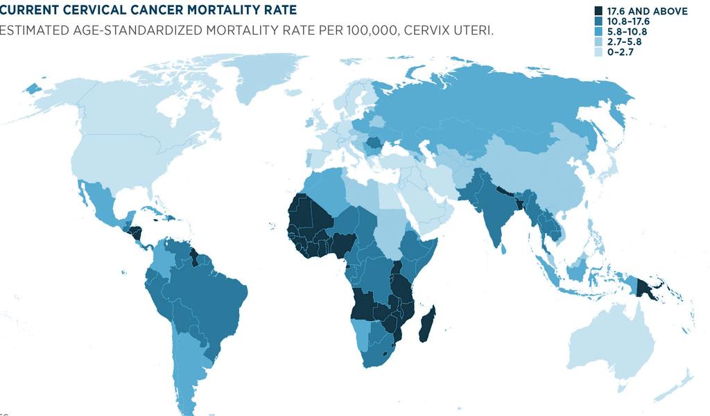 Opening the HPV window: Global disease burden 275,000 deaths, most of which in developing world Estimated 529,000 new cases of cervical cancer Sources: Ferlay J, Shin HR, Bray F, Forman D, Mathers C,