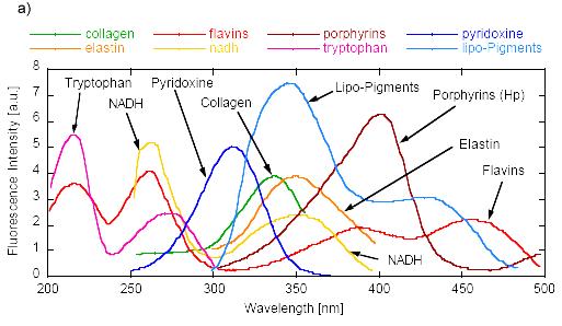 Tooth Anatomy and its Interaction with Light 47 Fig.2.15. a) Absorption spectra and b) emission spectra of different fluorophores in biological tissue. Adapted from Wagnieres etal, 1998).