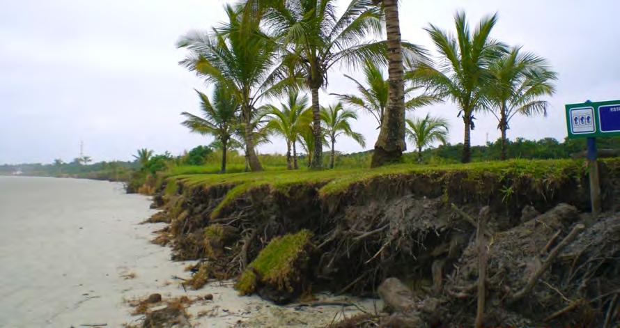 CASE STUDY COASTAL EROSION PROTECTION BRAZIL THE ISSUE: Coastal erosion caused