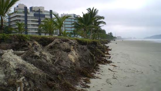 INITIAL INEFFECTIVE ATTEMPTS AT EROSION CONTROL: A native grass, sweet grass