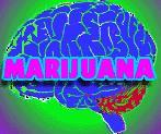 For years investigators could not explain the effects of marijuana on the brain. When they finally localized specific receptors for cannabinoids.