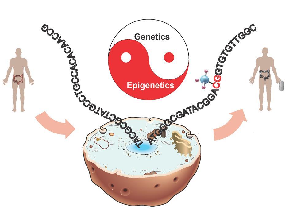 The crosstalk between genetics and epigenetics in cancer Cancer may be caused by aberrant DNA