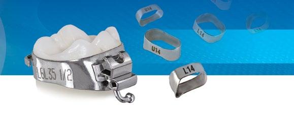 MOA BANDS TruFit 2.0 Molar Bands See pages 32-33 ##MOABANDSEND Upper First and Second Molar Band Sizes Ortho Technology 37 37.5 38 38.5 39 39.5 40 40.5 41 41.5 42 42.5 43 43.