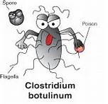 Clostridium botulinum > Commonly found in the environment > C.