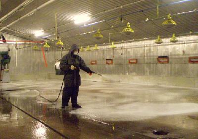 Barn Sanitation C&D 1) Cleaning is most important 2) Cleaning steps: a) Dry clean b) Pre-Soak/Wet clean i. BioSentry Chlor-a Foam ii.