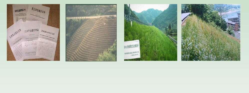 PC C Zhou Without Geofabrics : CHINA Zhejiang Province