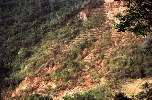 Landslide:
