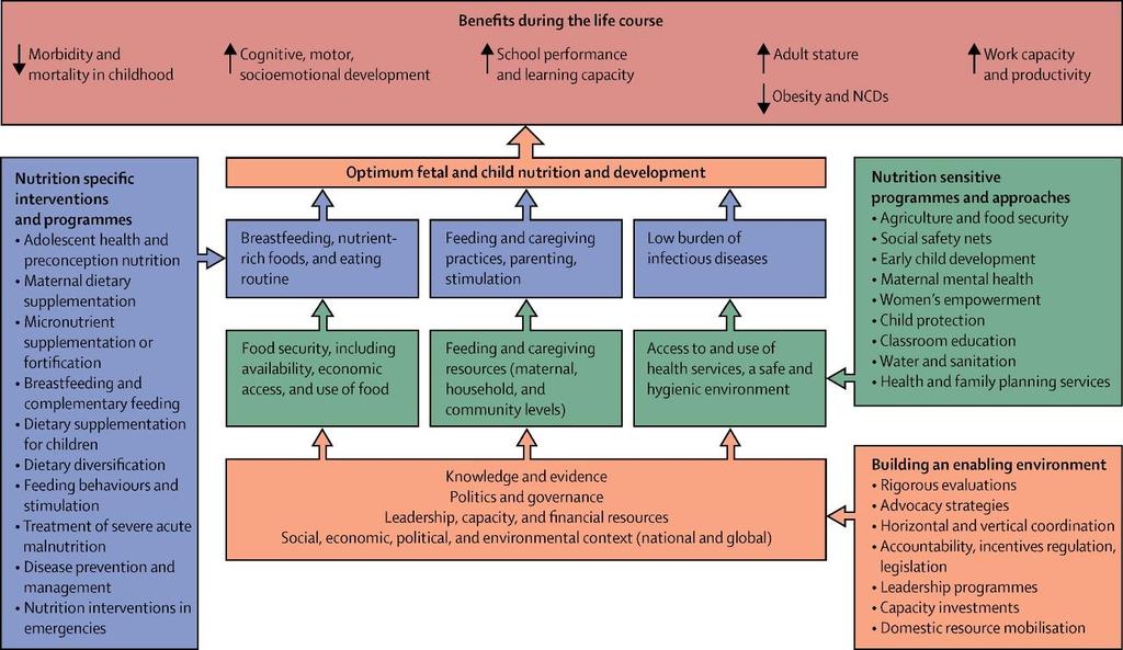 Nutrition sensitive and specific interventions The Lancet series on maternal and child nutrition from 2013 divides the main intervention types for tackling malnutrition in two, these are nutrition