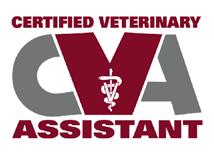 MVMA Handbook MVMA CVA-PPE Experience Verification Form **Submit this form only if you have completed the required amount of hours** This form is to remove the PPE (Pending Practice Experience)