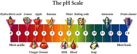 ph scale The ph scale is a tool indicating the strength of acids and bases. The lower the number the higher the concentration of H+ (strong acid).