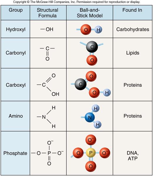 Functional Groups A Functional Group is a set (cluster) of atoms that gives a compound it