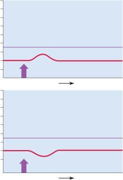 mv Postsynaptic Potentials - EPSP Excitatory postsynaptic s (EPSP) any voltage change increasing the chance of a firing.