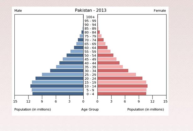 Figure 1: Population Pyramid of Pakistan, 2013. Source: Central Intelligence Agency (2013).