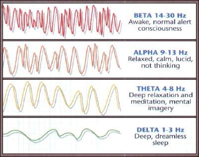 C. Brainwaves & sleep Electroencephalogram: (EEG) Can record simultaneous Ap s in large # s of neurons & displays wave-like patterns known as brain waves.