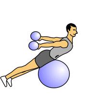 Prone arm circles with kettlebells 1. Start by lying face down so that the stability ball in under your hips and your lower back has to support your upper body. 2.