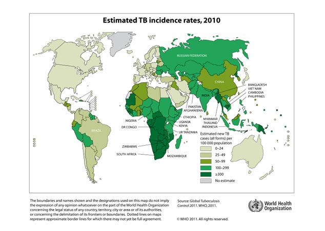 Who is at risk for exposure to or infection with TB?