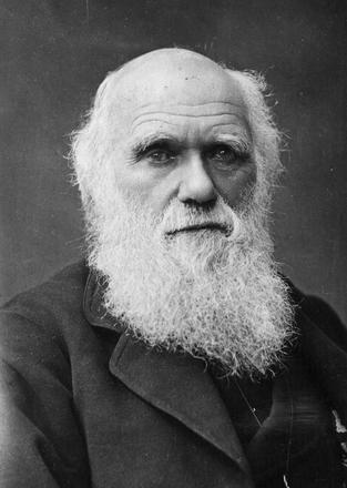 Key People Mary Whiton Calkins Charles Darwin Dorothea Dix Sigmund Freud G.