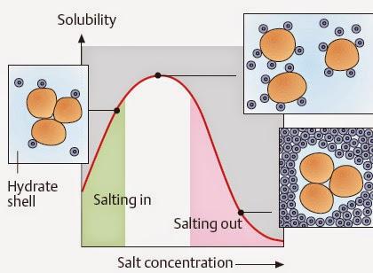 PRINCIPLE OF SALTING OUT When high concentrations of salt is added to the protein solution, the solubility decreases, and the protein precipitates.