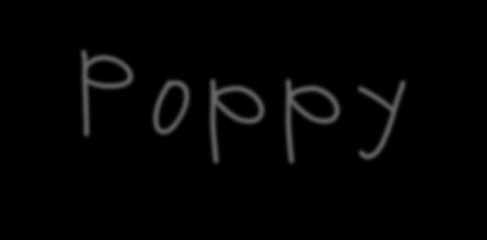 Poppy Chapter Nine Questions: On Her Way Retell Poppy s attempt to cross Glitter Creek. Mr.