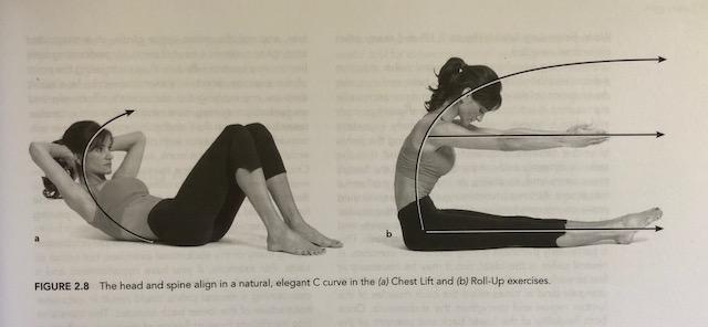 Anatomical Description of the C Curve Pilates Lumbar C Curve While standing or lying the natural curve of your lumbar spine is in slight extension (Neutral Spine).