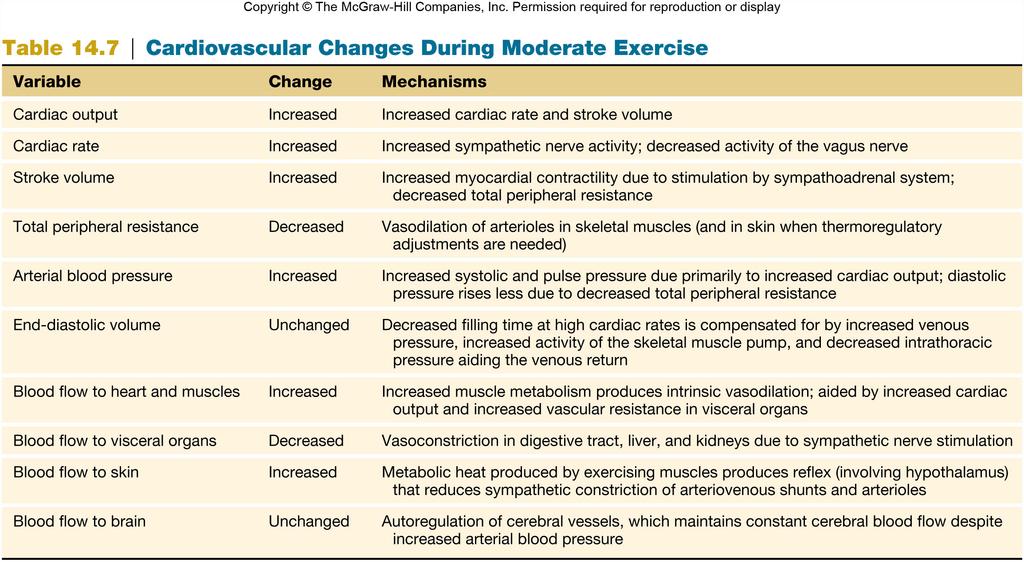 25 Control of Blood Pressure & Blood Volume Rapid neural responses: 1. Baroreflex change