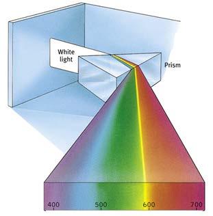 The Stimulus Input: Light Energy Wavelength