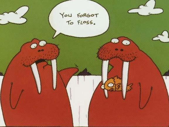 PERMANENT TEETH Ques.: Do I have to floss all my teeth? Ans.: YES.
