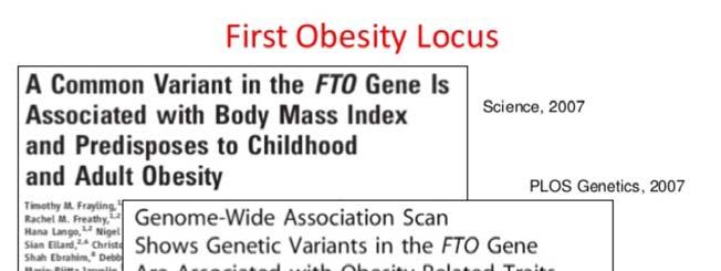 FTO ALlele Fat mass and Obesity Associated Gene FTO gene = the strongest